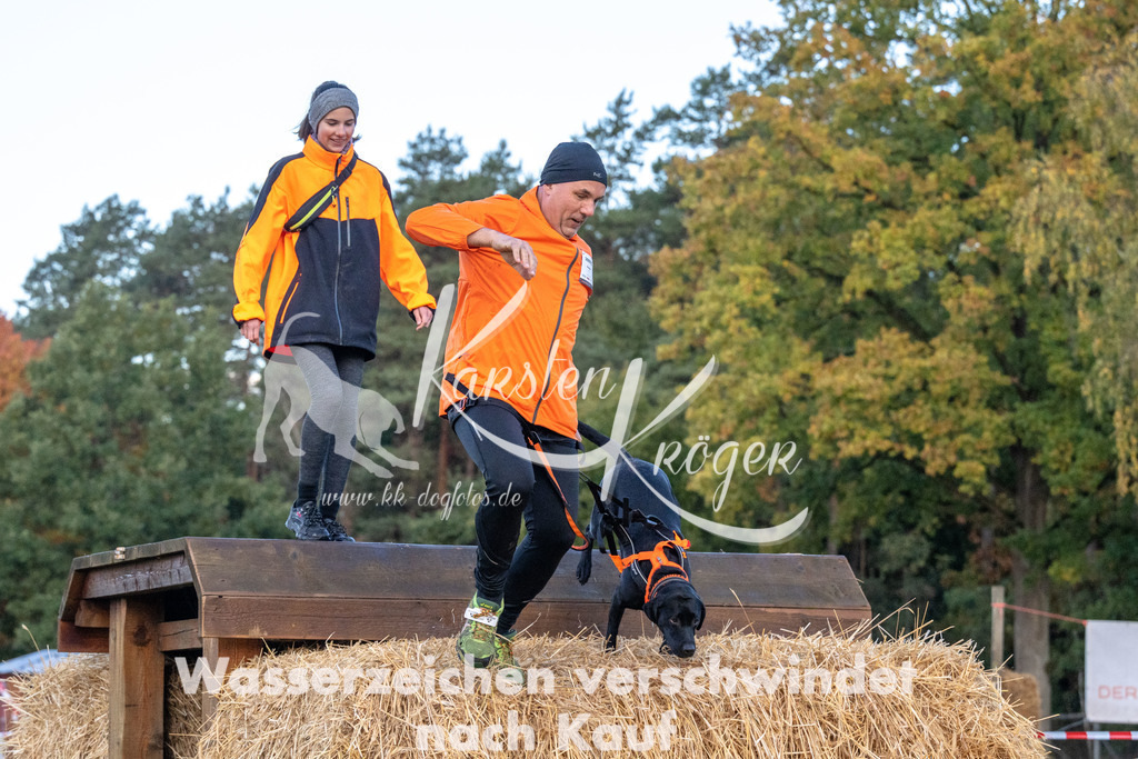 0816_ZZ90088 | kk-dogfotos
