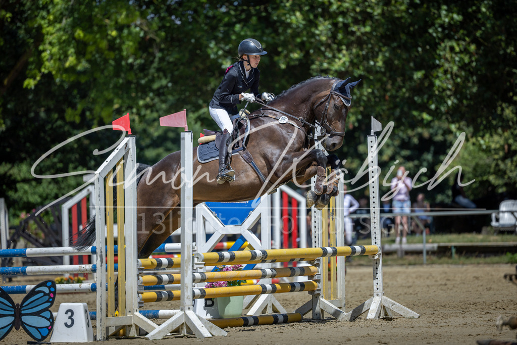 20260704-_3LI8464 | Tierfotografie Pferde, Hunde, Katzen, Haustiere.
Turnierfotografie Reitturniere, Reiten, Springreiten, Dressur in Hanau, dem Main-Kinzig-Kreis und dem Rhein-Main- Gebiet um Frankfurt