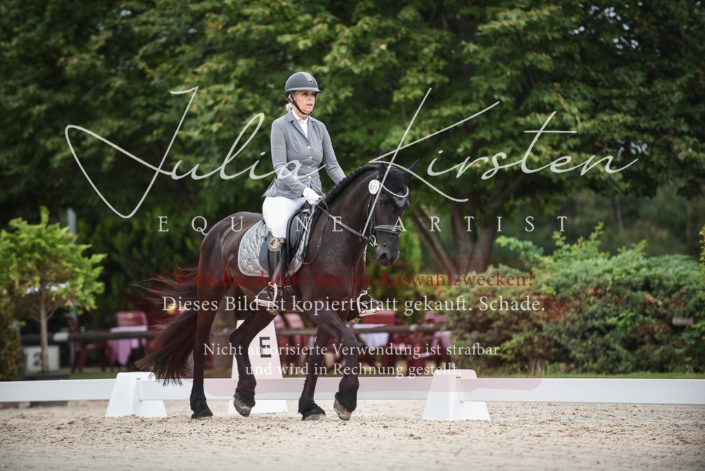 DSC_8319 | Pferde- und Turnierfotografie in Westsachsen. Pferdeportraits, Auftragszeichnungen und intuitive Kunst.