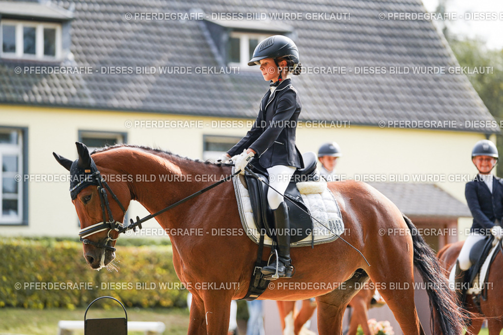 DSC03937 | Pferdegrafie