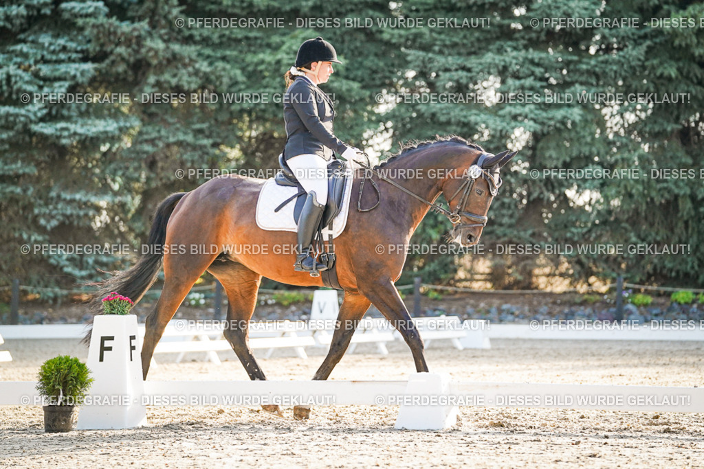 DSC08043 | Pferdegrafie