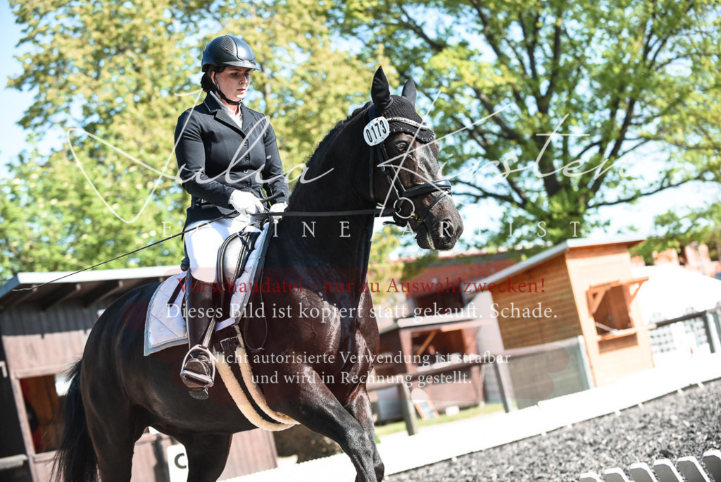 DSC_8622 | Pferde- und Turnierfotografie in Westsachsen. Pferdeportraits, Auftragszeichnungen und intuitive Kunst.