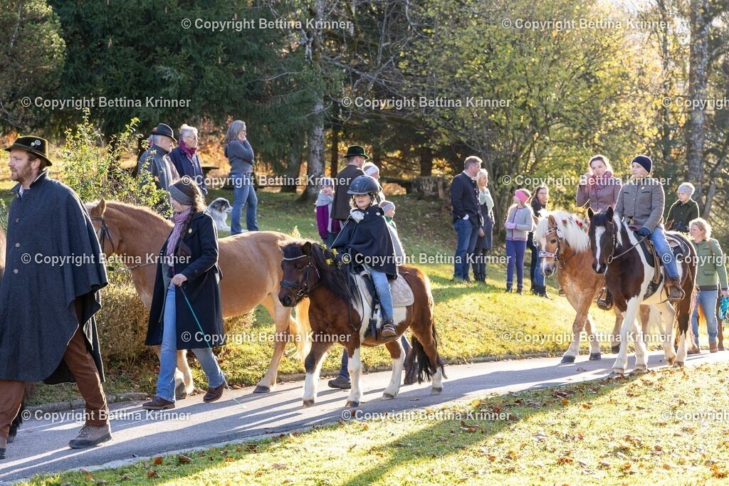 LL24-213 | foto-bettina-krinner - Realisiert mit Pictrs.com