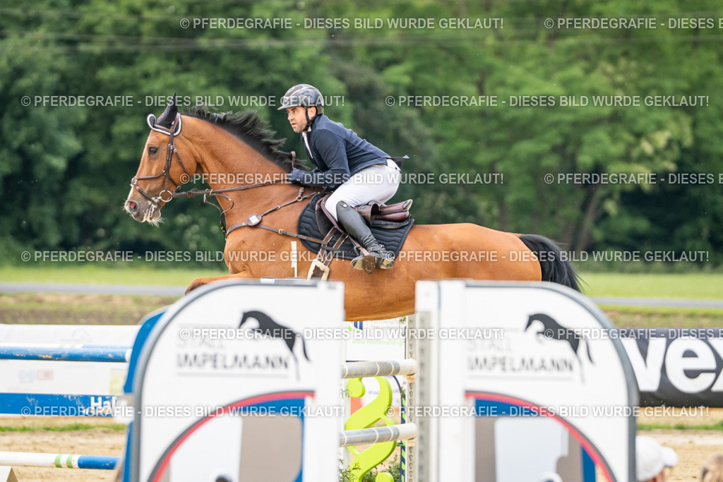 DSC06061 | Pferdegrafie