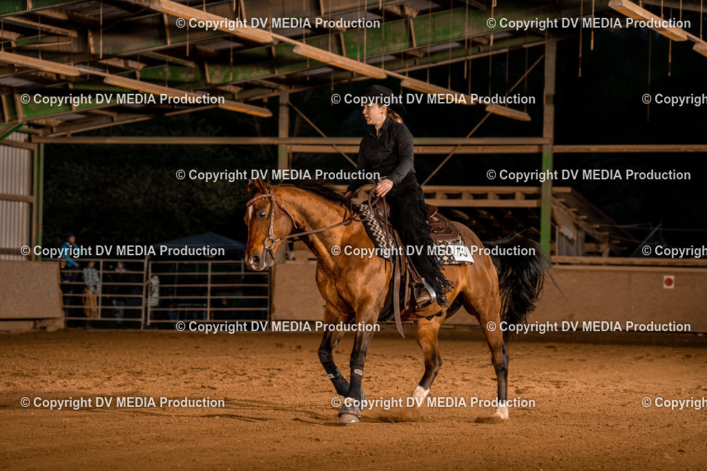 BA301446 | dv-media-shop - Realisiert mit Pictrs.com