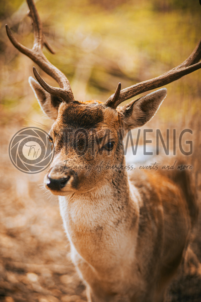 IMG_5294 | Hier findet ihr eure Fotografien und verschiedenste Motive zum Bestellen. - Realisiert mit Pictrs.com