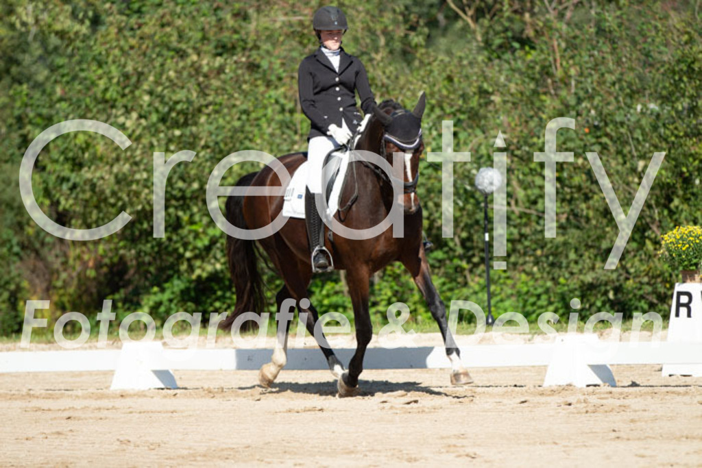 IMG_4981 | Creatify Fotografie