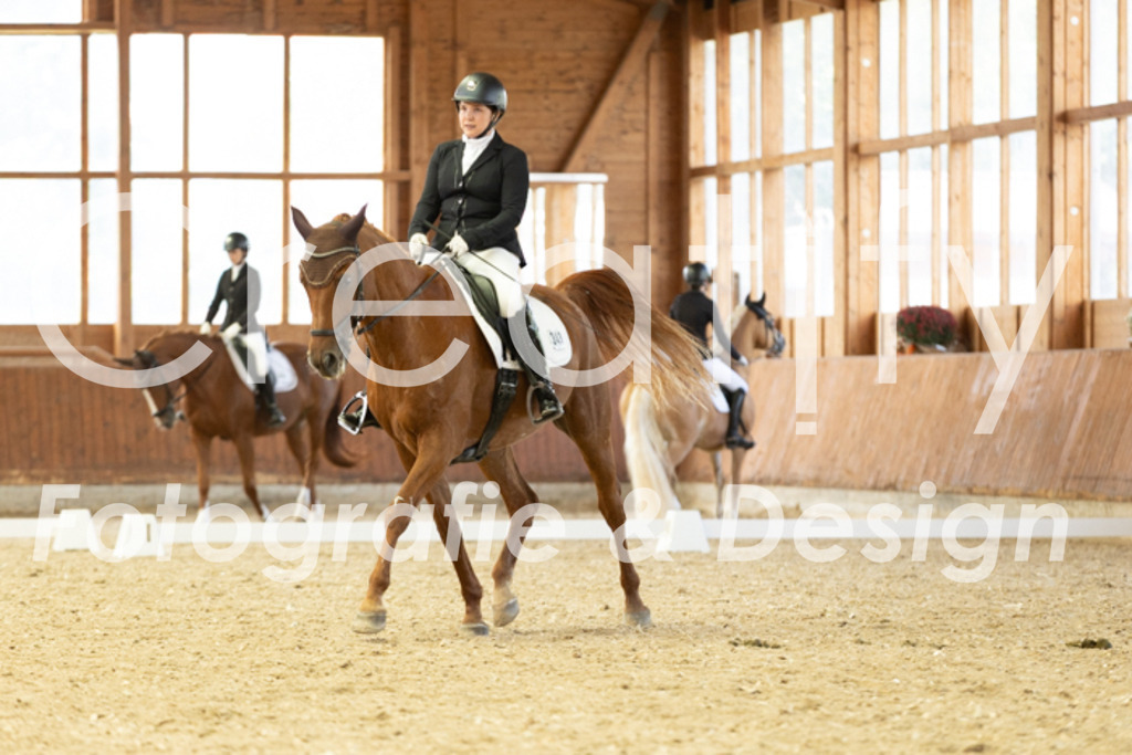 IMG_5817 | Creatify Fotografie