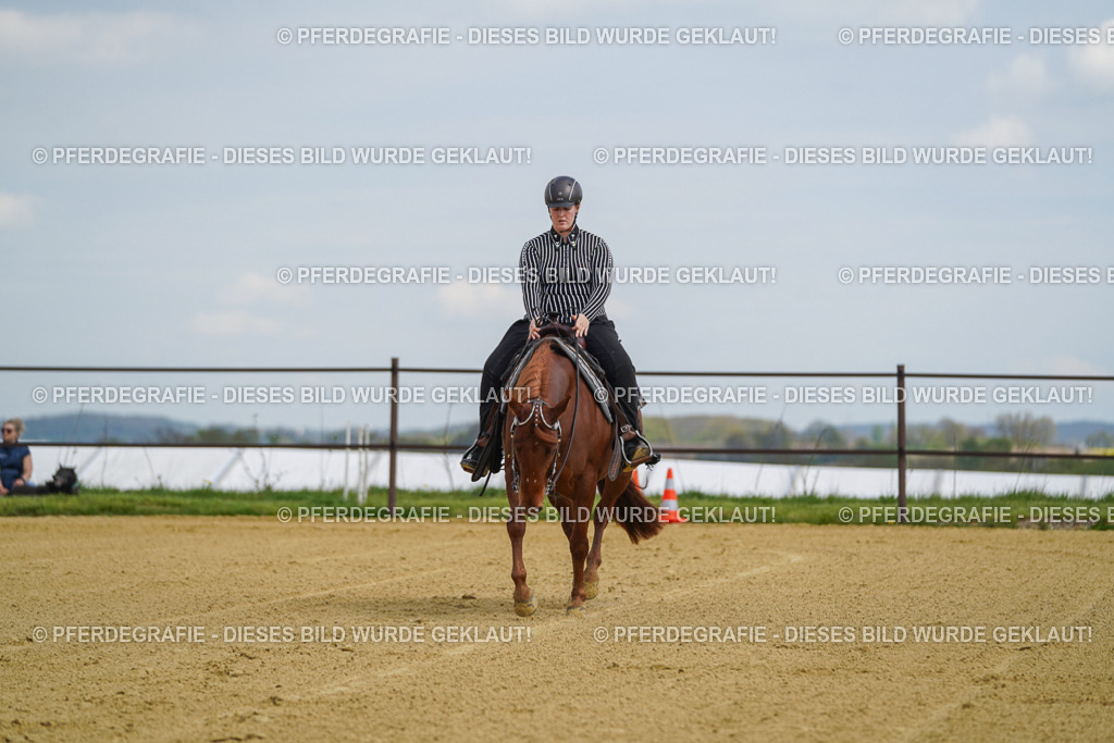 DSC05621 | Pferdegrafie