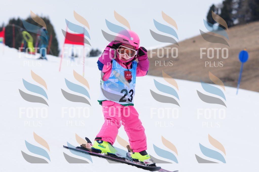 A3426 | holidayphoto