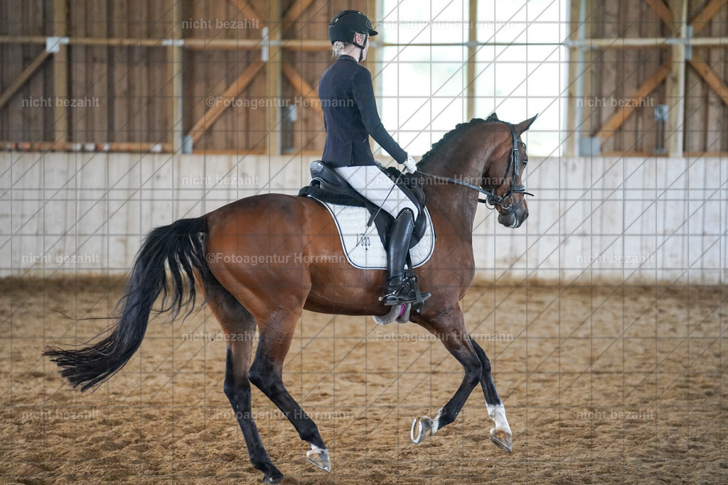 20230520-FAH05605 | Frühjahrsturnier, Landsberg am Lech, 2023, Reitclub Landsberg, Turnierbilder, Fotos Turnier Landsberg, Fotoagentur Herrmann, Turnierfotografen Bayern, Reitsport Fotograf, Pferde Fotograf