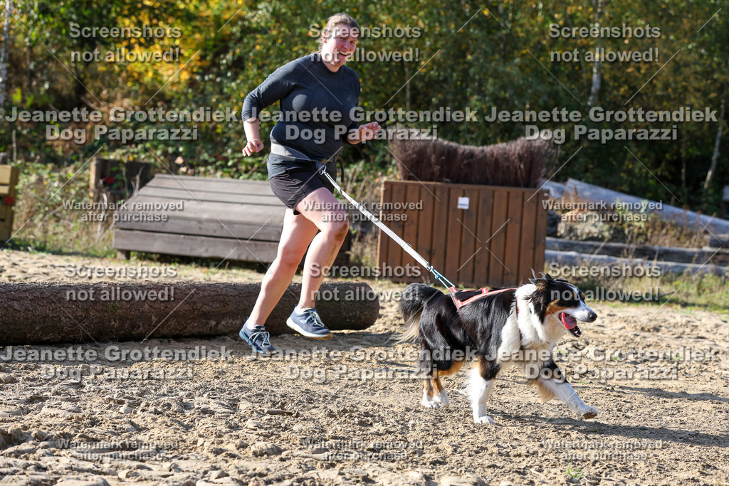 Dog Paparazzi - Strongdog 10-25-6012 | Dog Paparazzi Jeanette Grottendiek Fotografie & Videografie - Realisiert mit Pictrs.com