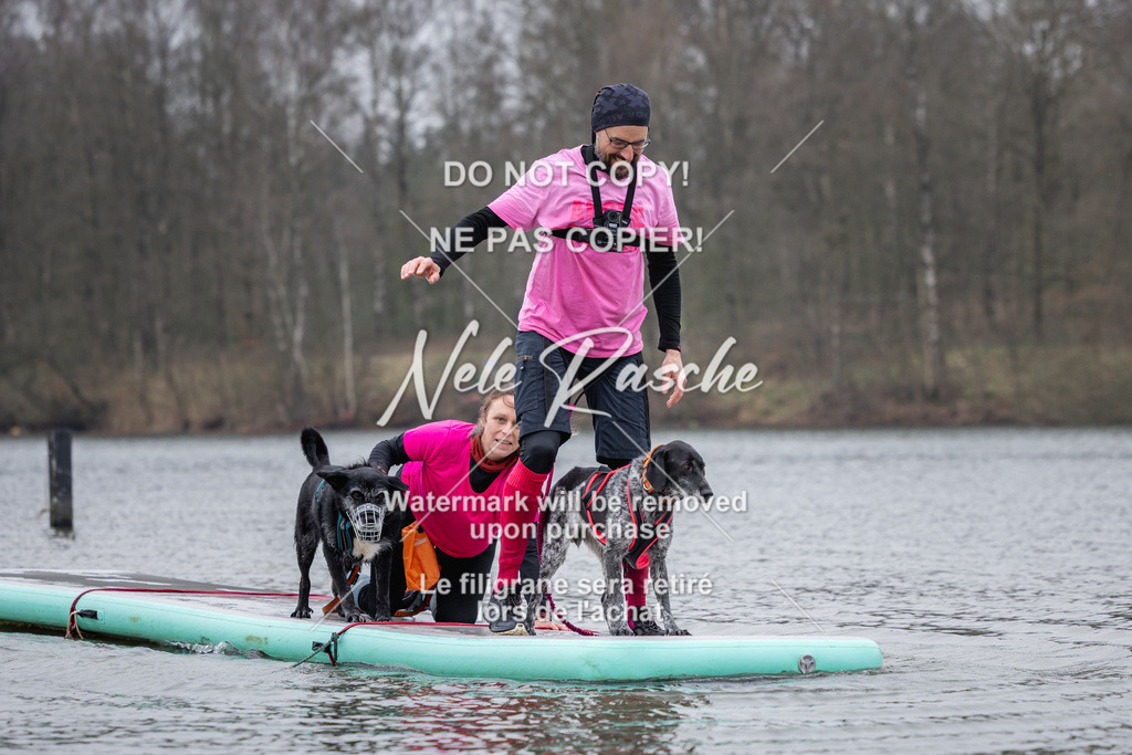 nelerasche_Hulsbeek_Sa1515-1600_516 | nelerasche