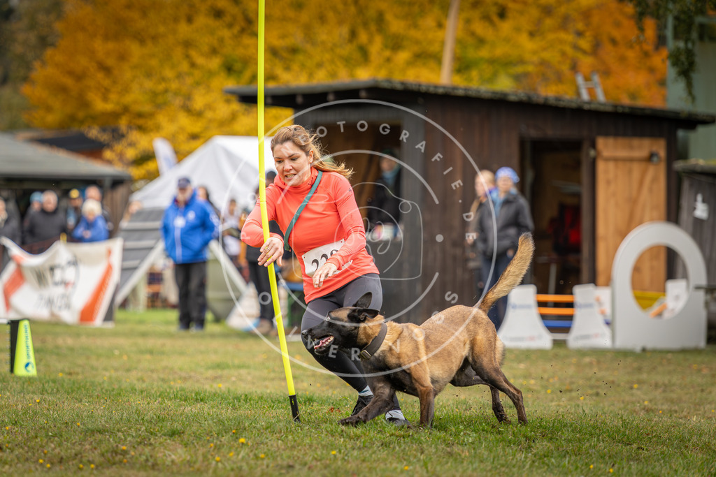 Pfotenfotografie_DV3A3274 | Hundefotografie, Tierfotograf, Pfotenfotografie, Fotoshooting Hund, Hunde Portrait, Hundesport, Hundeportraits, Heideshooting, Hunde, Sportfotograf, Hundefotograf, Turnierhundsport, THS,  - Realisiert mit Pictrs.com