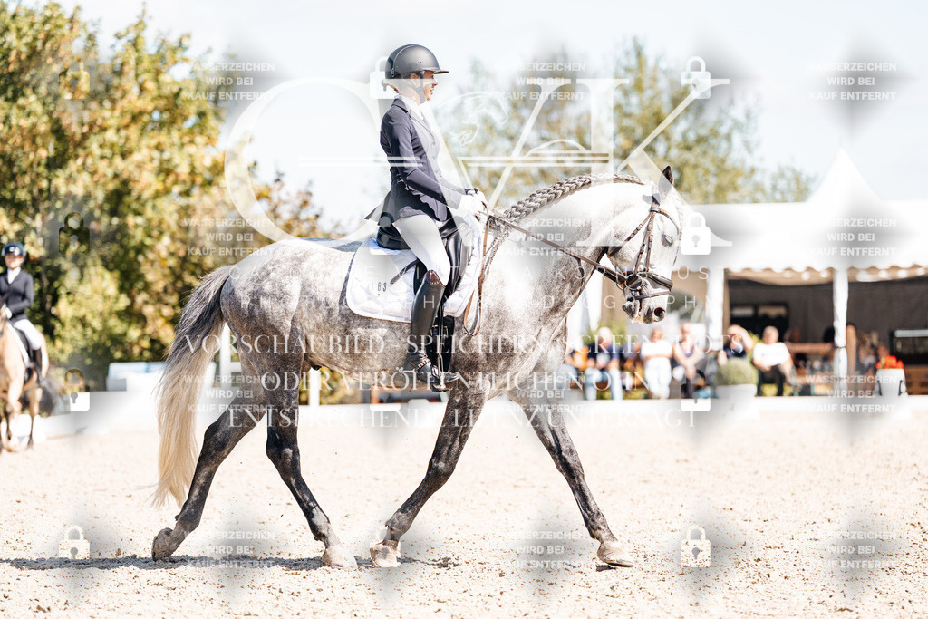 CK903816 | Turnierfotografie Pferdefotografie Trier Rheinland-Pfalz Pferdesport Reitsport Tierfotografie Sportfotografie Pferdevideo Pferdevideografie Equestrianvideography equestrianphotography  - Realisiert mit Pictrs.com