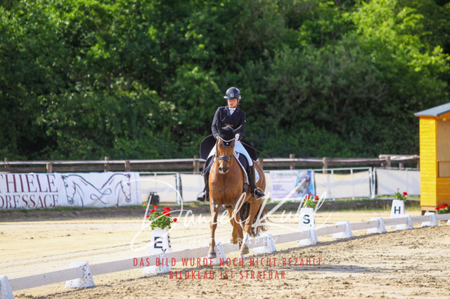 DKP46568 | Turniersportfotografie; Pferdefotografie; Dressurfotografie