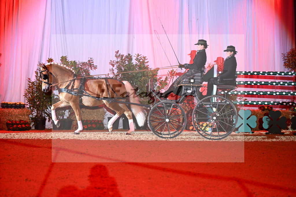 DSP_Avici_As_Karosser_2254540 | hf-fotografie - Realisiert mit Pictrs.com