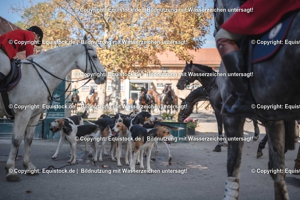 20251011_Jagd-Marbach_0631 | Foto: Thomas Hartig