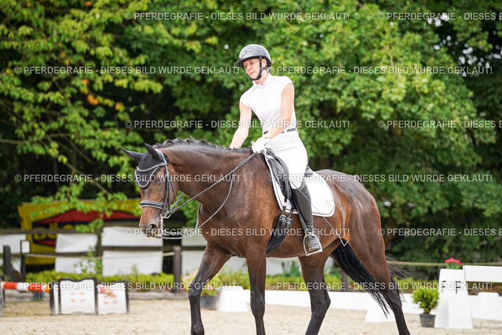 DSC06686 | Pferdegrafie