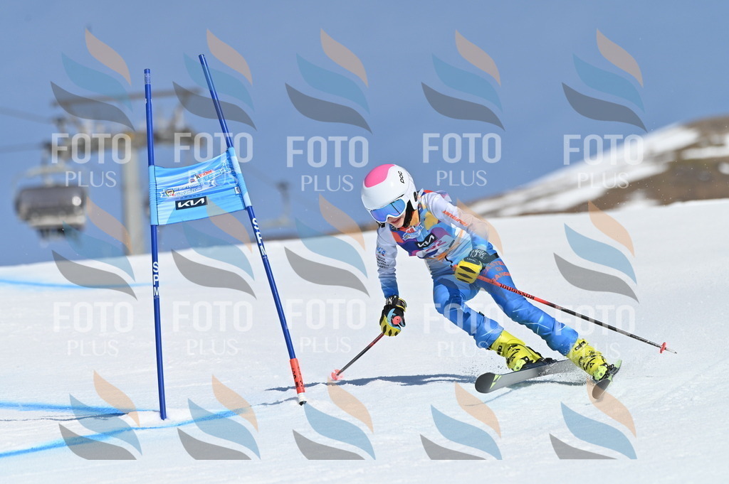 BGV_8765 | holidayphoto