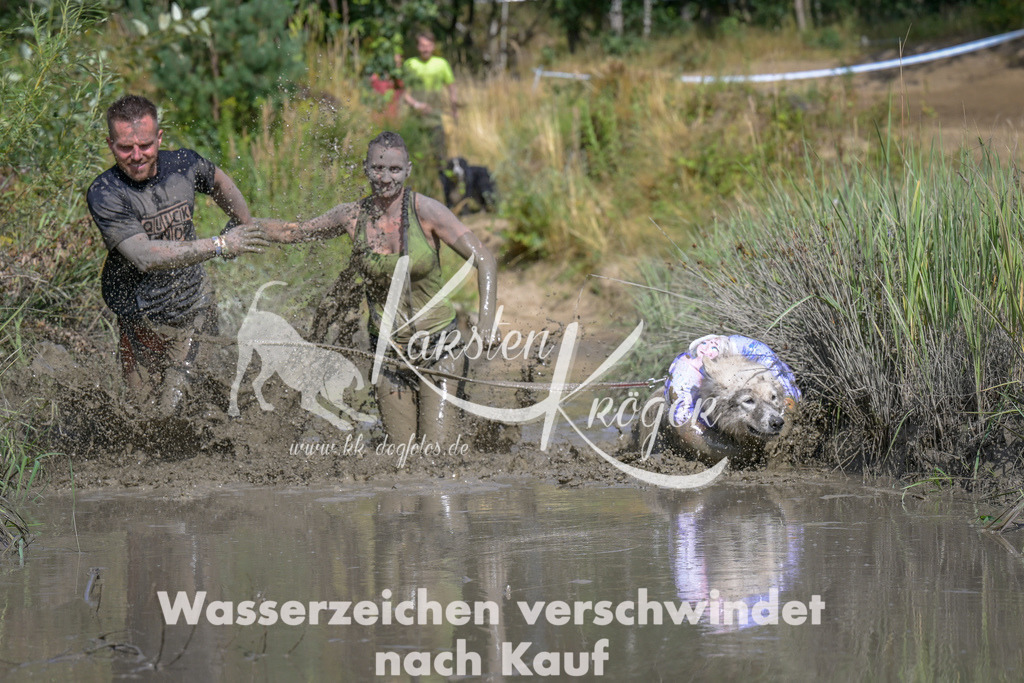 1642_ZZ97253 | kk-dogfotos