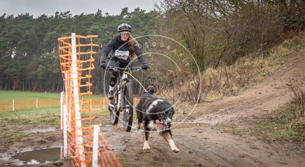 0L8A9022 | Hundefotografie, Tierfotograf, Pfotenfotografie, Fotoshooting Hund, Hunde Portrait, Hundesport, Hundeportraits, Heideshooting, Hunde, Sportfotograf, Hundefotograf, Turnierhundsport, THS,  - Realisiert mit Pictrs.com