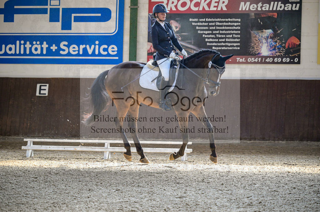 Reitturnier Voxtrup | Entdecke hochwertige Reitturnierfotos von Foto Oger. Professionell, emotional und authentisch – jetzt Lieblingsmomente im Shop bestellen.Deutschlandweite Turnierfotografie. - Realisiert mit Pictrs.com
