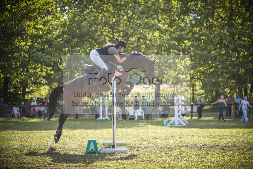 DOS_0636 | Entdecke hochwertige Reitturnierfotos von Foto Oger. Professionell, emotional und authentisch – jetzt Lieblingsmomente im Shop bestellen.Deutschlandweite Turnierfotografie. - Realisiert mit Pictrs.com