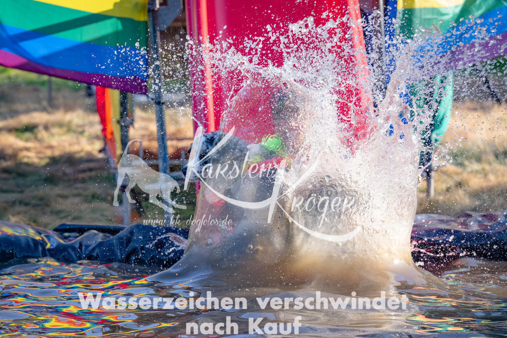 1753_ZZ92852 | kk-dogfotos