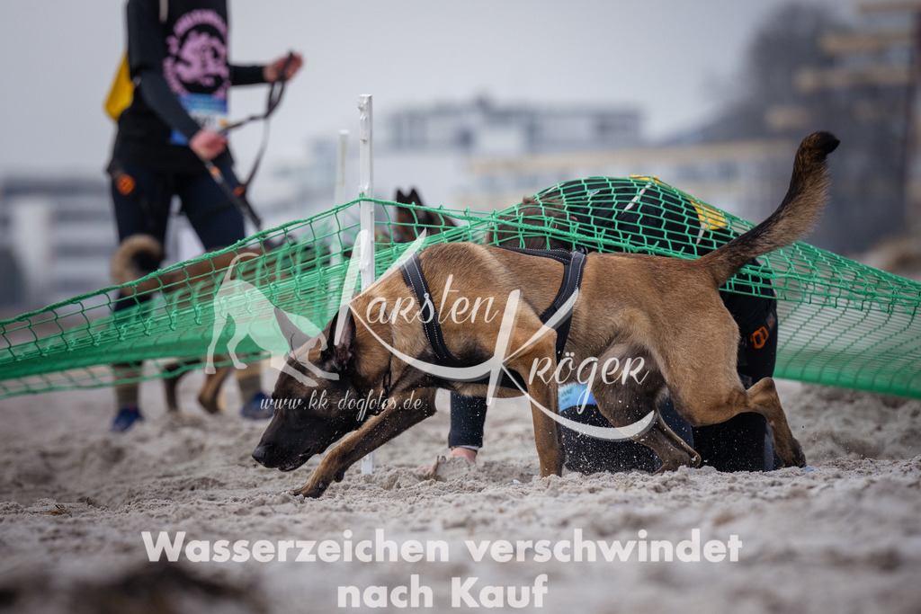 1148_ZZ90695 | kk-dogfotos