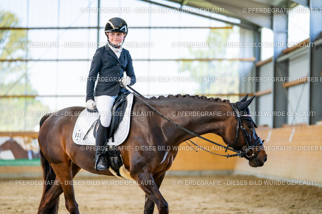 DSC06413 | Pferdegrafie