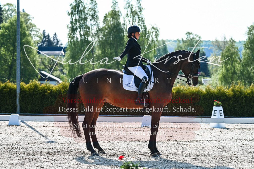 20230513_JK-Röhrsdorf-10-0104 | Pferde- und Turnierfotografie in Westsachsen. Pferdeportraits, Auftragszeichnungen und intuitive Kunst.