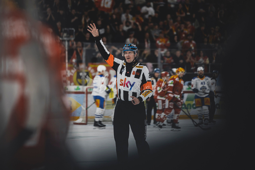 EHCB vs EVZ 20260227_WB-7618 | Sportbilder, Sportfotograf, Hochzeits- und Eventfotografin, Flugshows, Portraits und Tiershooting, Aviation, Downhill, Nationalleague, Swissleague, International