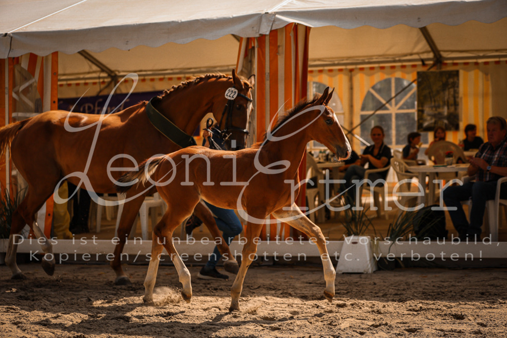 07.DoWBS00154 | Leoni Ertmer Photography - Realisiert mit Pictrs.com