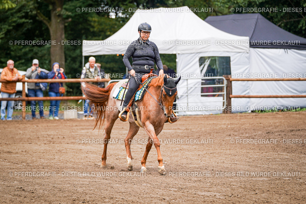 DSC05681 | Pferdegrafie