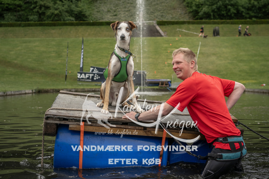 0959_ZZ93371 | kk-dogfotos