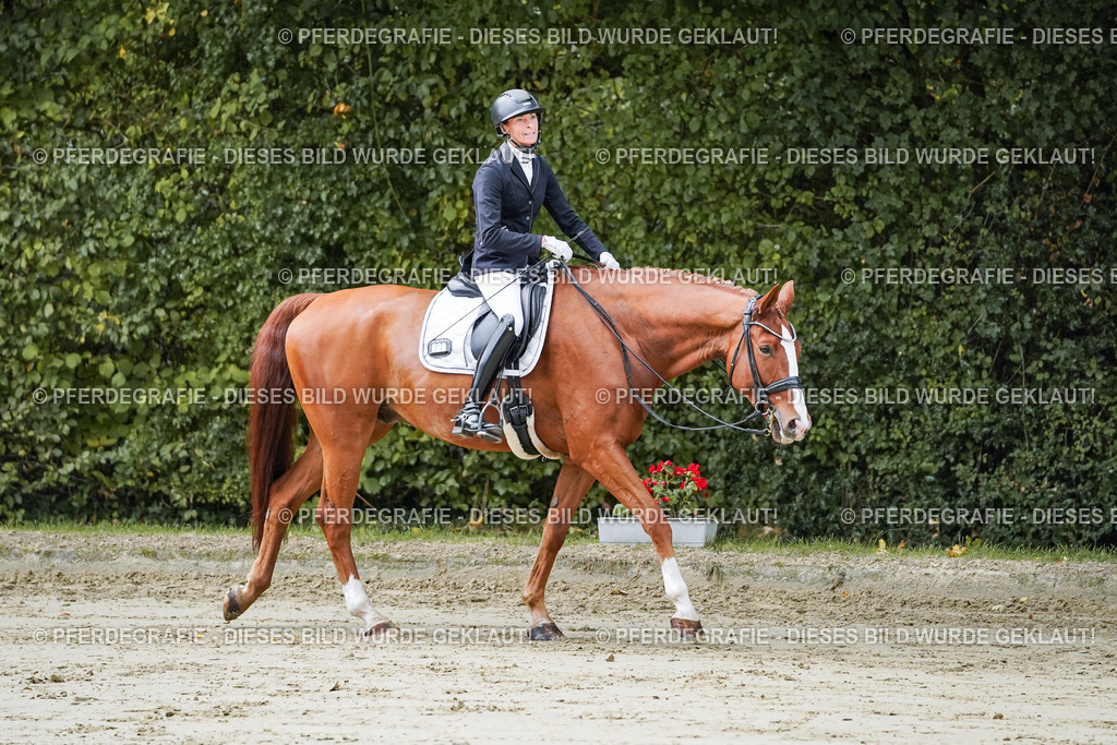 DSC08225 | Pferdegrafie