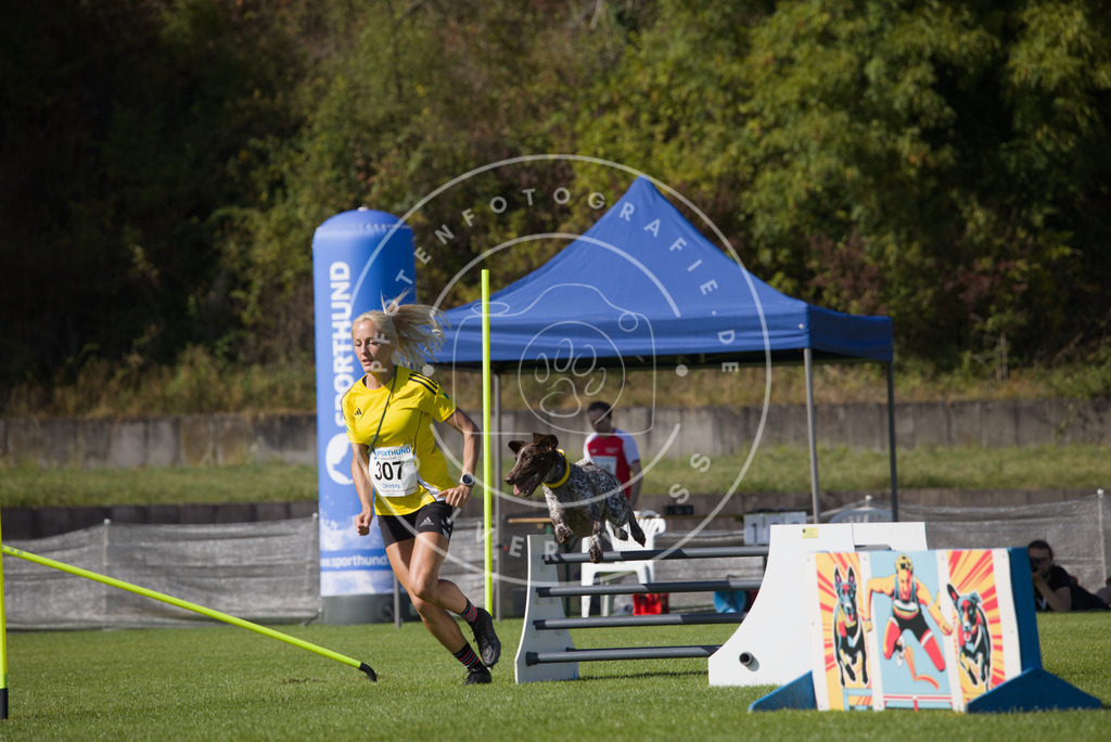 0L8A8215 | Hundefotografie, Tierfotograf, Pfotenfotografie, Fotoshooting Hund, Hunde Portrait, Hundesport, Hundeportraits, Heideshooting, Hunde, Sportfotograf, Hundefotograf, Turnierhundsport, THS,  - Realisiert mit Pictrs.com