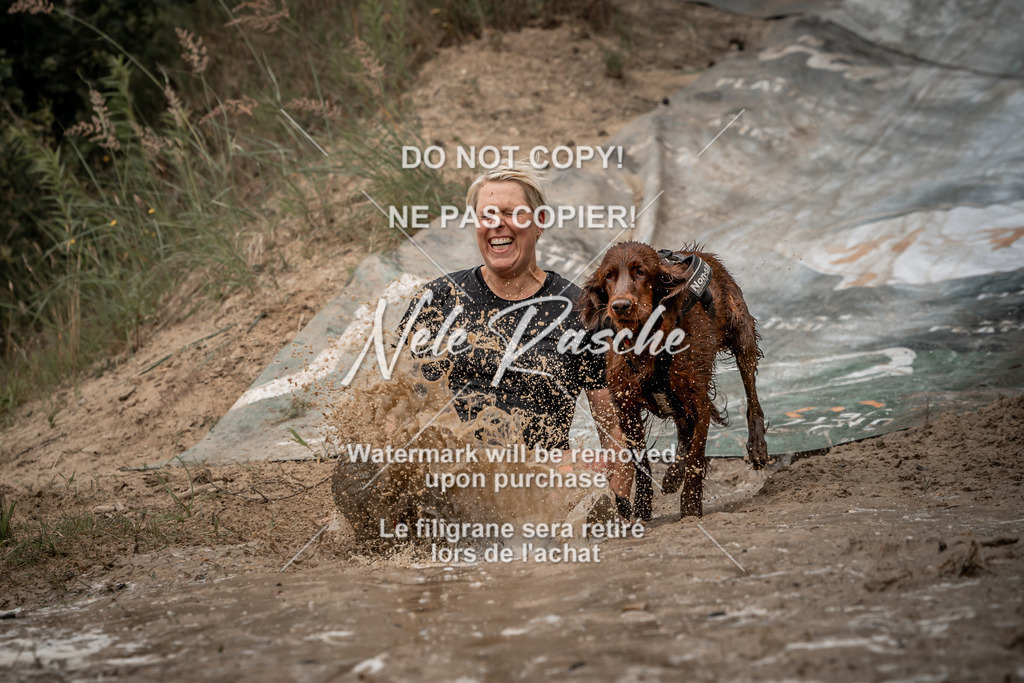nelerasche_sa1200-1230_313 | nelerasche