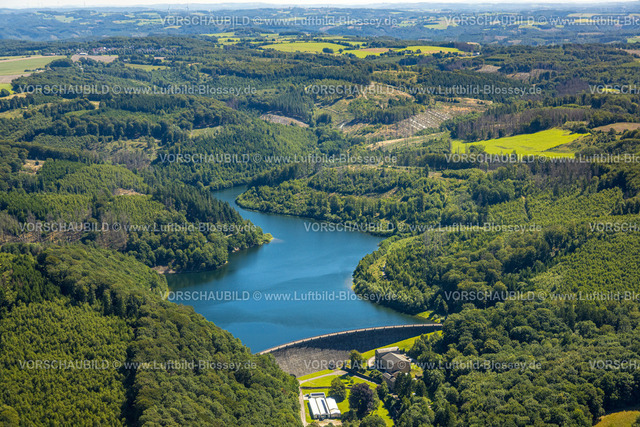 Ennepetal230800821 | Luftbild, Hasper Talsperre und Staumauer, Waldgebiet, Haspe, Hagen, Ruhrgebiet, Nordrhein-Westfalen, Deutschland