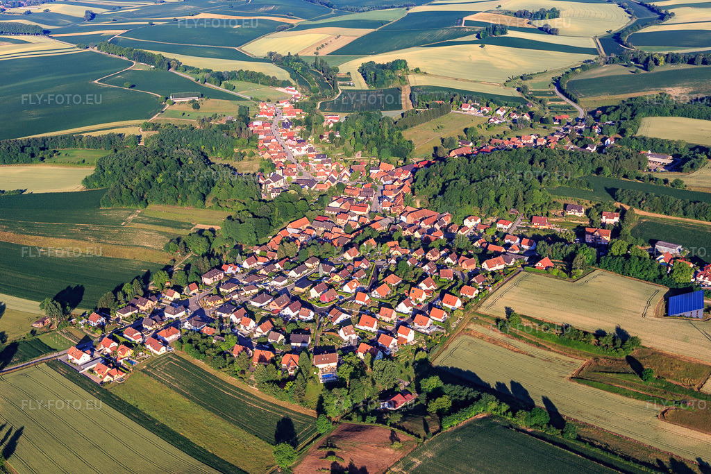 Vue aérienne: Rue des Anémones à Neewiller-près-Lauterbourg dans le département Bas Rhin, France – .Photo: IMG_100953.jpg prise le 17/06/2017 par Werner Riehm/FLY-FOTO.eu – Résolution de l'original: 5472 x 3648 px