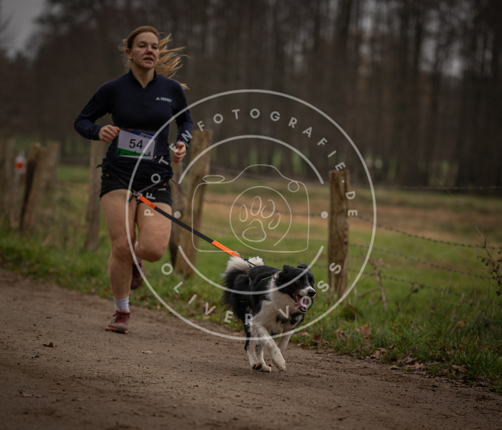 Pfotenfotografie_DV3A3001 | Hundefotografie, Tierfotograf, Pfotenfotografie, Fotoshooting Hund, Hunde Portrait, Hundesport, Hundeportraits, Heideshooting, Hunde, Sportfotograf, Hundefotograf, Turnierhundsport, THS,  - Realisiert mit Pictrs.com