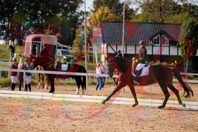 2026_10_03_Siefer-Hof_133658_Z63_98984072 | Professionelle Reitsport-, Turnier- und Eventfotografie von Robert Broda. Galerien mit ausgewählten und bearbeiteten Bildern direkt online ansehen und bestellen.