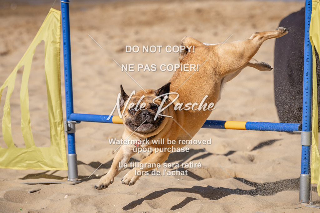 NR__0681 | nelerasche