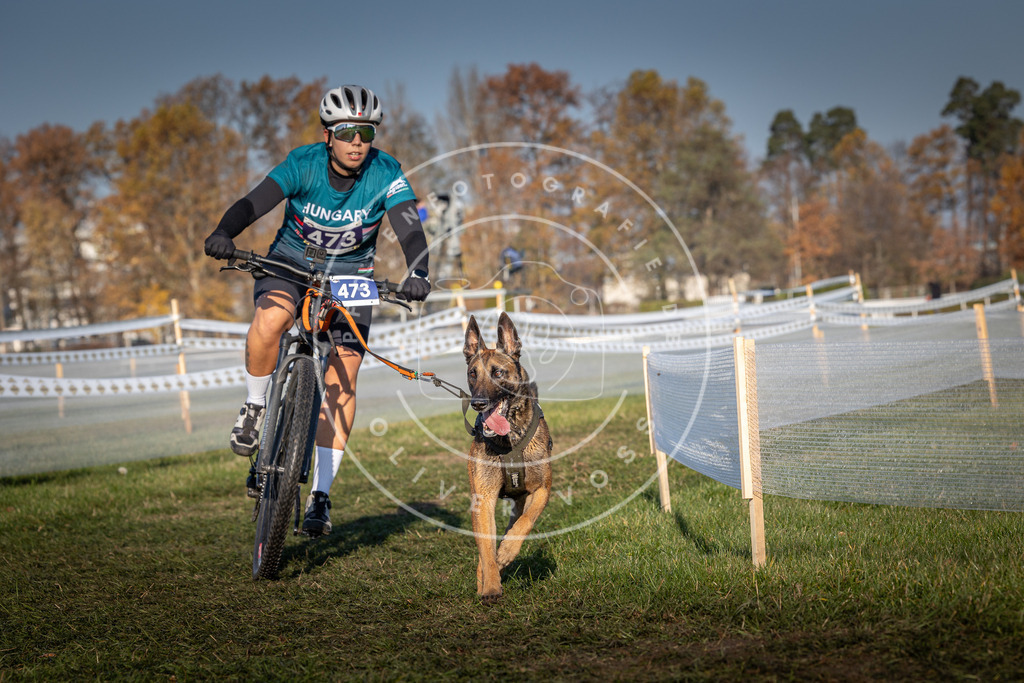 CaniXpix_0L8A4655 | Hundefotografie, Tierfotograf, Pfotenfotografie, Fotoshooting Hund, Hunde Portrait, Hundesport, Hundeportraits, Heideshooting, Hunde, Sportfotograf, Hundefotograf, Turnierhundsport, THS,  - Realisiert mit Pictrs.com