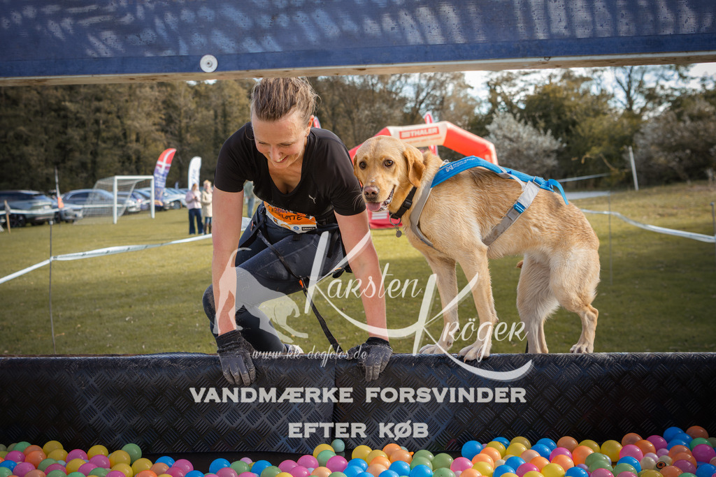 1313_ZZ99649-2 | kk-dogfotos