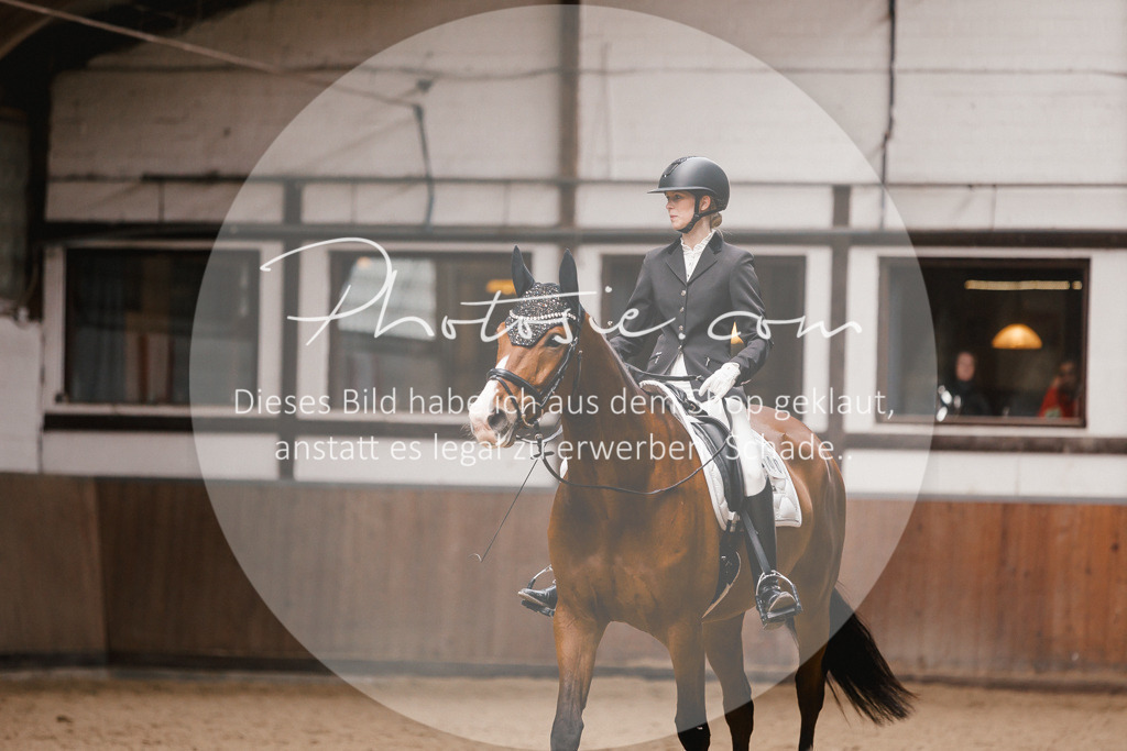 3I6A7399 | Stimmungsvolle Portraits und Reitsportfotografie im Ruhrgebiet und im Münsterland.

Pferdefotografie, Hundefotografie, Tierfotografie, Reportagen, Portraits von Tier und Mensch, Turnierfotografie in Bochum, Recklinghausen, Marl, Haltern am See, Dülmen.. - Realisiert mit Pictrs.com