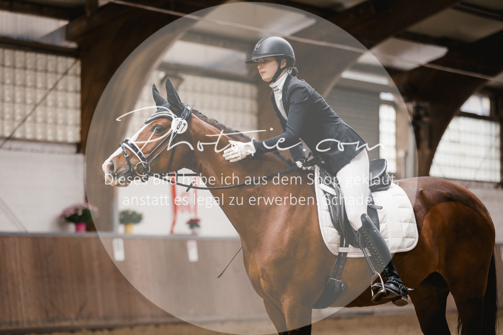 3I6A7525 | Stimmungsvolle Portraits und Reitsportfotografie im Ruhrgebiet und im Münsterland.

Pferdefotografie, Hundefotografie, Tierfotografie, Reportagen, Portraits von Tier und Mensch, Turnierfotografie in Bochum, Recklinghausen, Marl, Haltern am See, Dülmen.. - Realisiert mit Pictrs.com