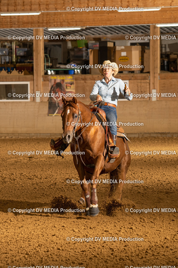 LAU00043 | dv-media-shop - Realisiert mit Pictrs.com