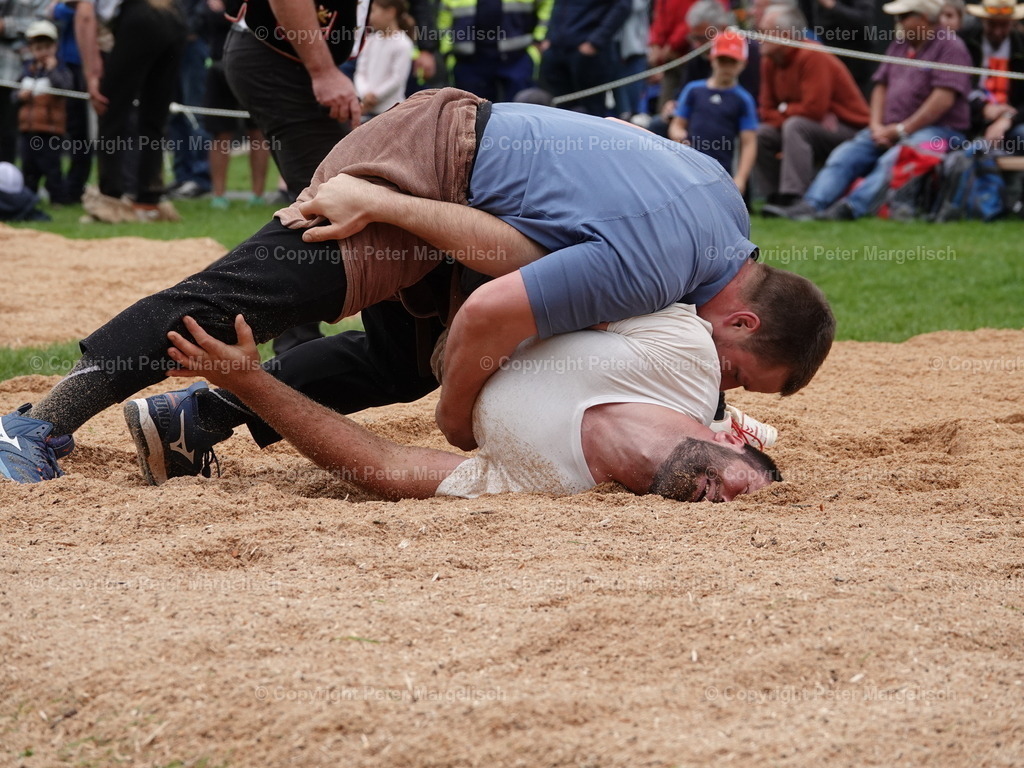 DSC07144 | Schwingen - Realisiert mit Pictrs.com